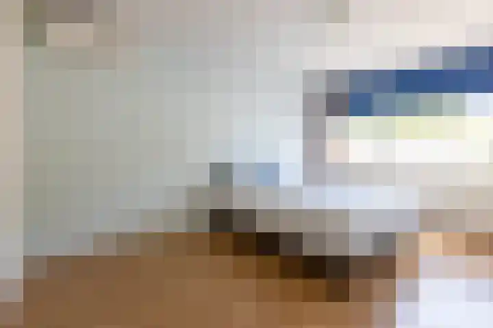 Buurtweg 70 Halsteren thumbnail 18