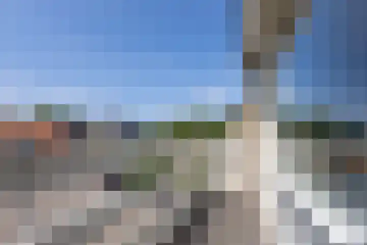 Buurtweg 70 Halsteren thumbnail 24