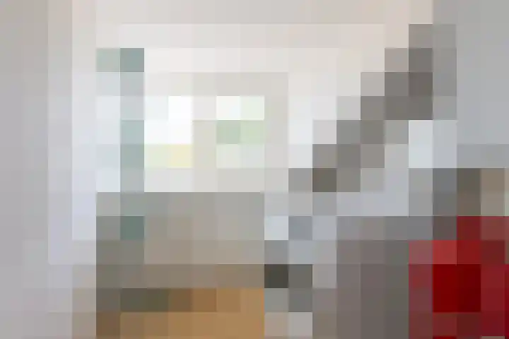 Buurtweg 70 Halsteren thumbnail 35