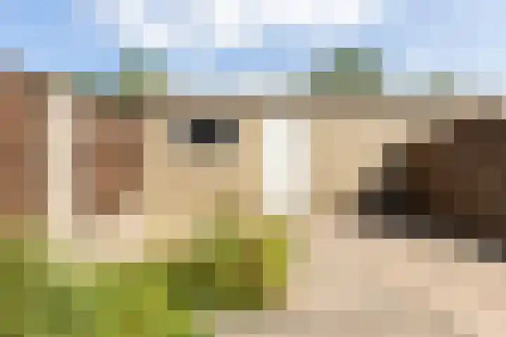 Buurtweg 70 Halsteren thumbnail 44