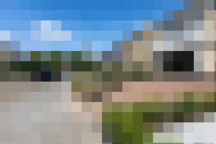 Buurtweg 70 Halsteren thumbnail 50