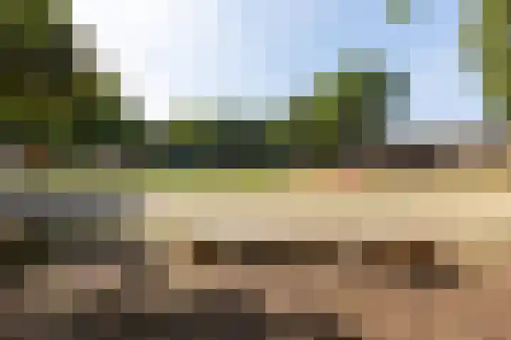 Buurtweg 70 Halsteren thumbnail 58