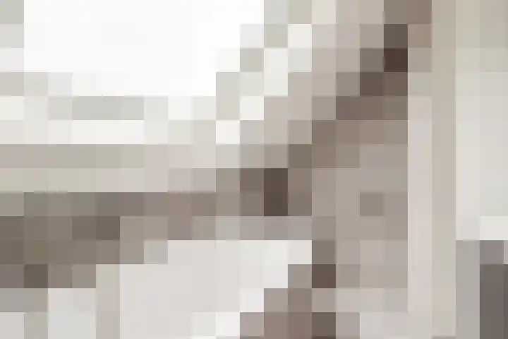 Buurtweg 8 Ermelo thumbnail 33