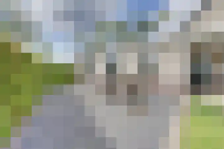 Buurtweg 8 Ermelo thumbnail 45