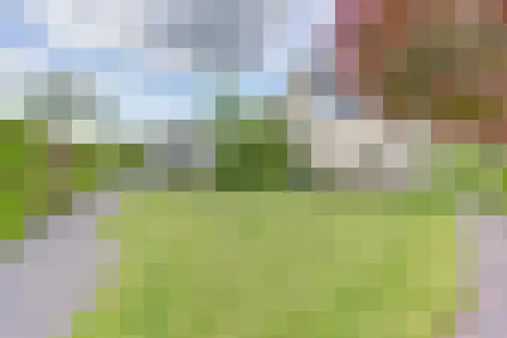 Buurtweg 8 Ermelo thumbnail 47