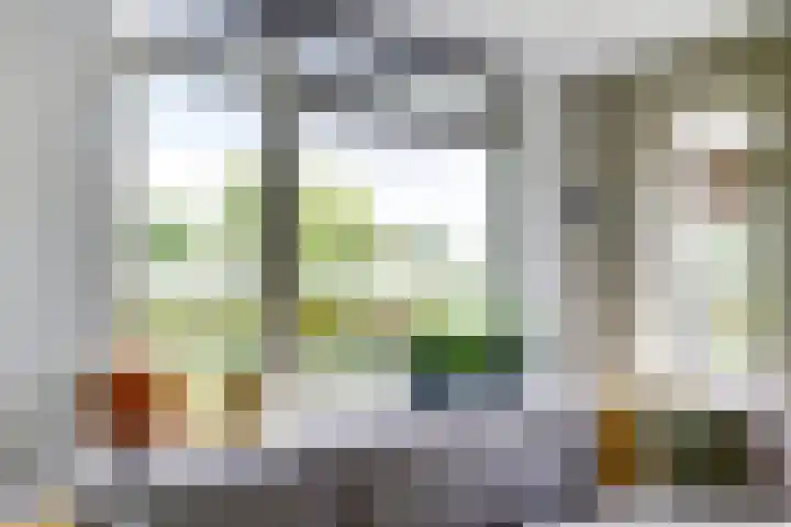 Buurtweg 8 Ermelo thumbnail 5