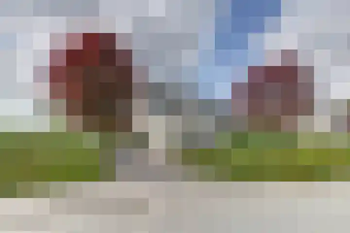 Buurtweg 8 Ermelo thumbnail 50