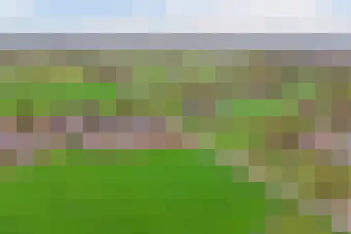 Buurtweg 8 Ermelo thumbnail 54