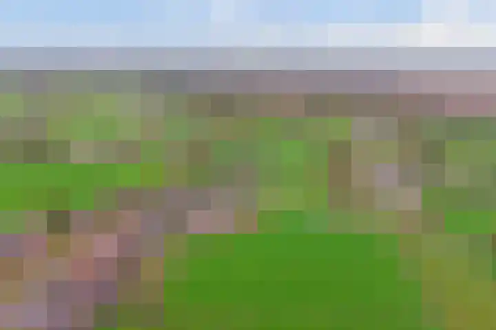 Buurtweg 8 Ermelo thumbnail 55