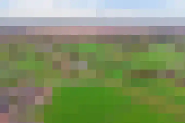 Buurtweg 8 Ermelo thumbnail 56