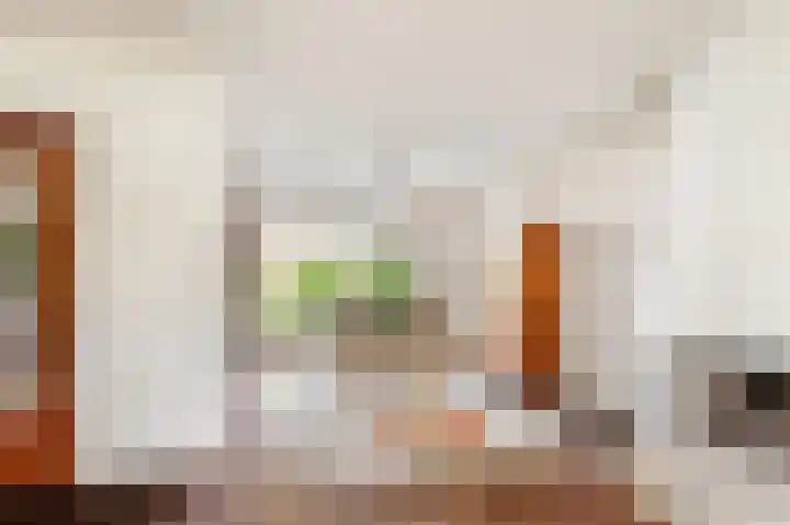 Buwitsacker 21 Castricum thumbnail 10
