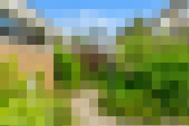 Buwitsacker 21 Castricum thumbnail 18