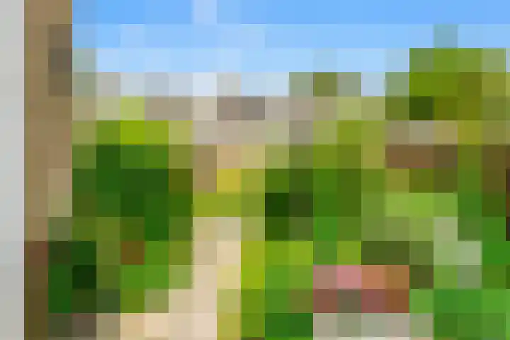 Buwitsacker 21 Castricum thumbnail 19