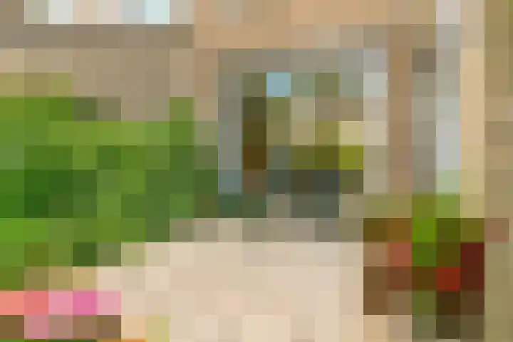 Buwitsacker 21 Castricum thumbnail 20