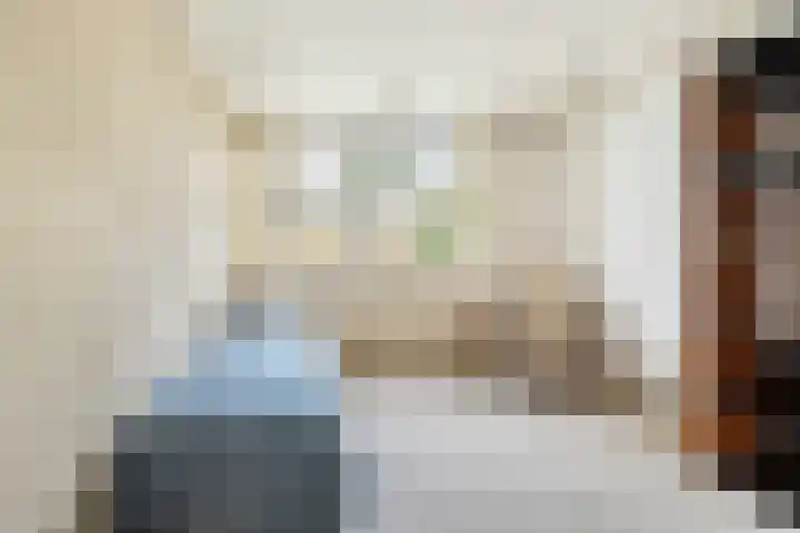 Buwitsacker 21 Castricum thumbnail 26