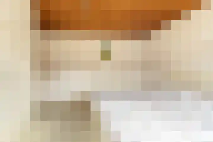 Buwitsacker 21 Castricum thumbnail 30