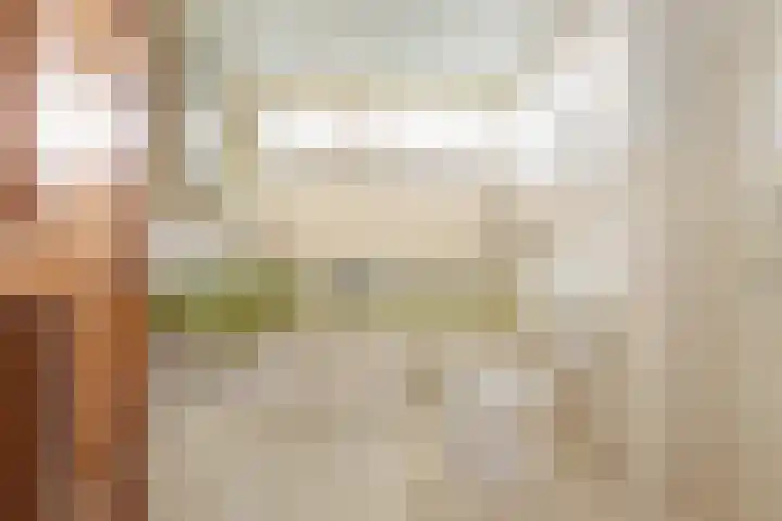 Buwitsacker 21 Castricum thumbnail 31