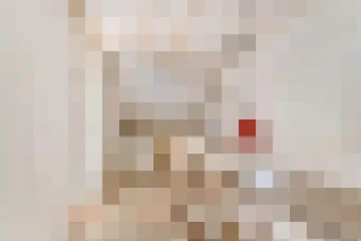 Buwitsacker 21 Castricum thumbnail 34