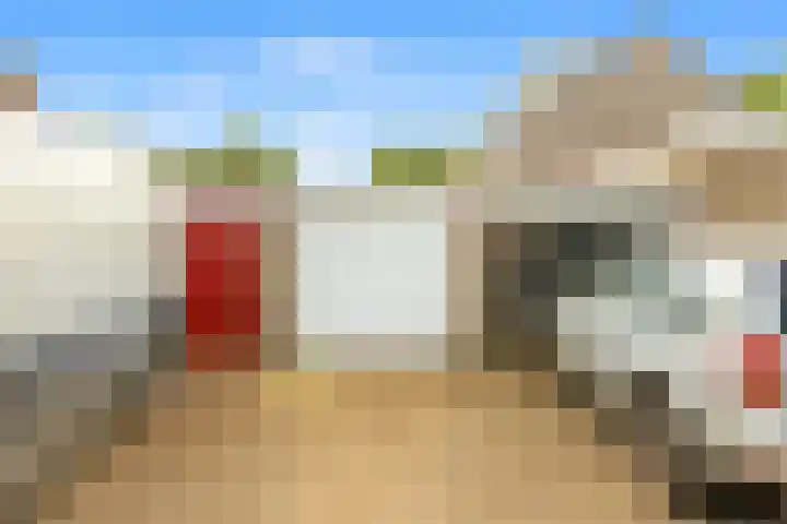 Buwitsacker 21 Castricum thumbnail 37