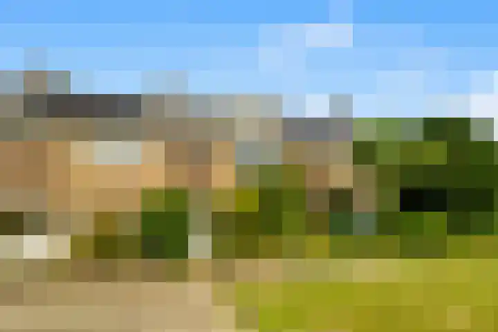 Buwitsacker 21 Castricum thumbnail 38