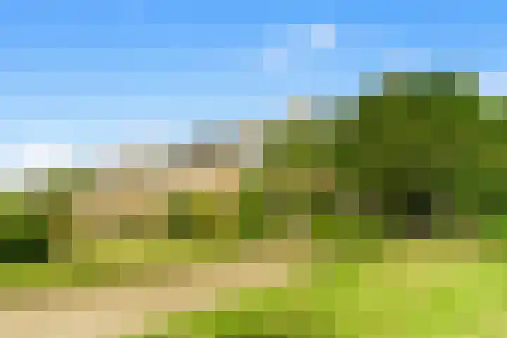 Buwitsacker 21 Castricum thumbnail 39