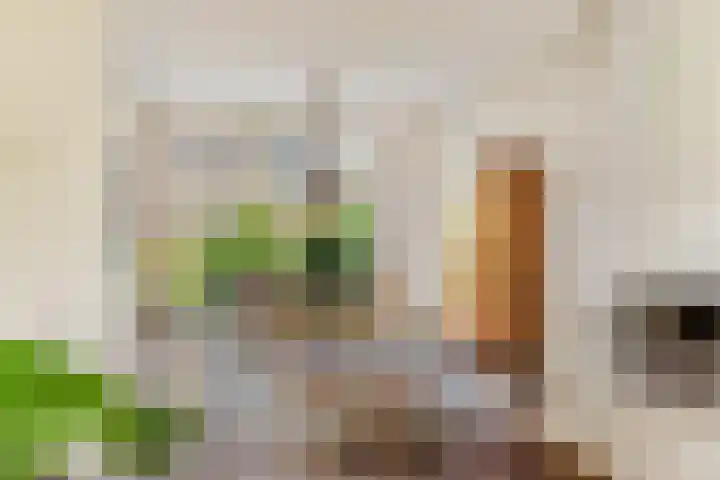 Buwitsacker 21 Castricum thumbnail 4