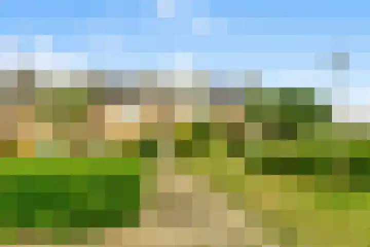 Buwitsacker 21 Castricum thumbnail 40