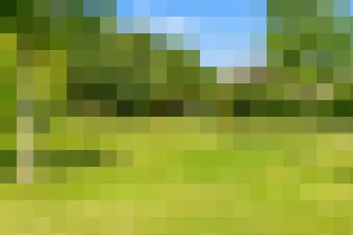 Buwitsacker 21 Castricum thumbnail 41