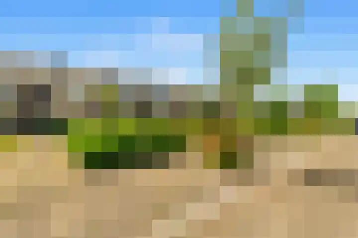 Buwitsacker 21 Castricum thumbnail 42