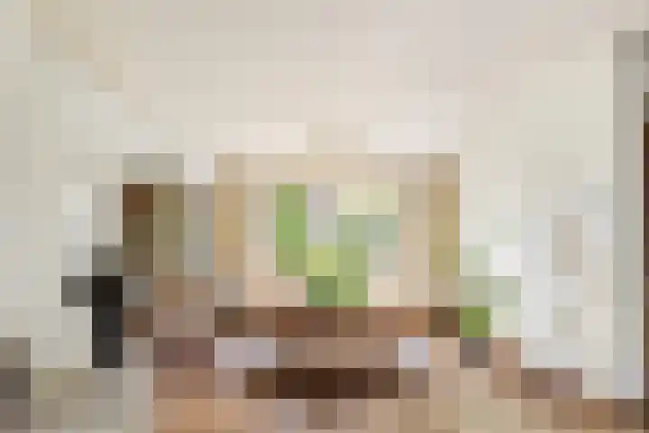 Buwitsacker 21 Castricum thumbnail 5