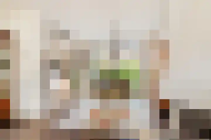 Buwitsacker 21 Castricum thumbnail 9