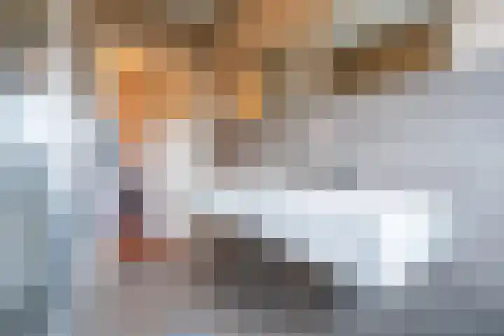 Buxusplaats 75 Tilburg thumbnail 20