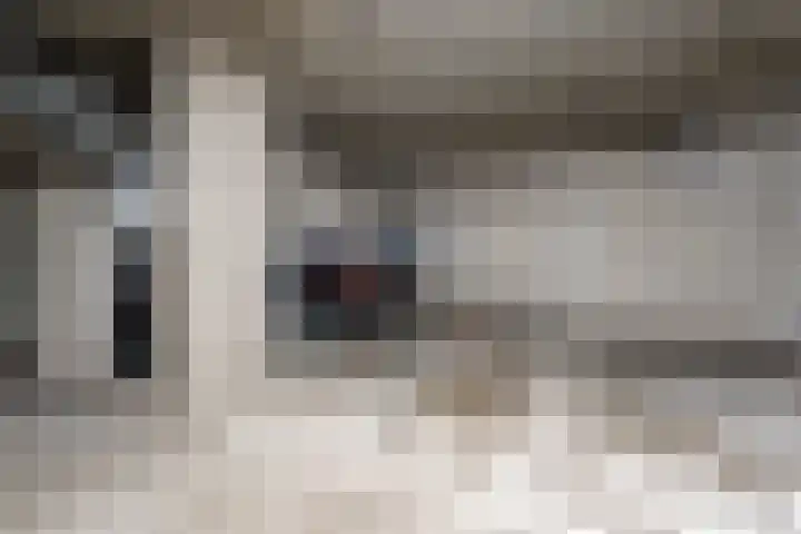 Buxusplaats 75 Tilburg thumbnail 25