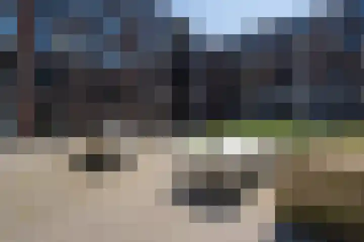 Buxusplaats 75 Tilburg thumbnail 26
