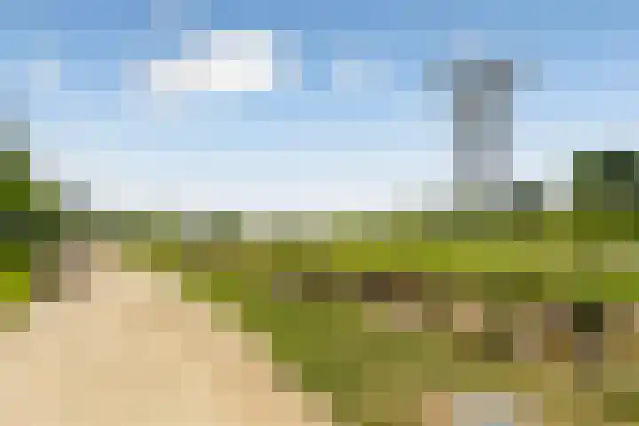 Buxusplaats 75 Tilburg thumbnail 30