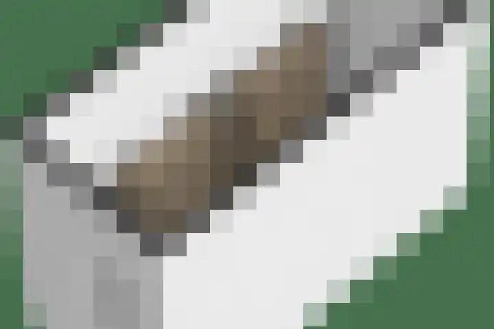 Buxusplaats 75 Tilburg thumbnail 37