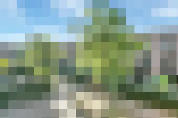 Buxusplaats 95 Tilburg thumbnail 15