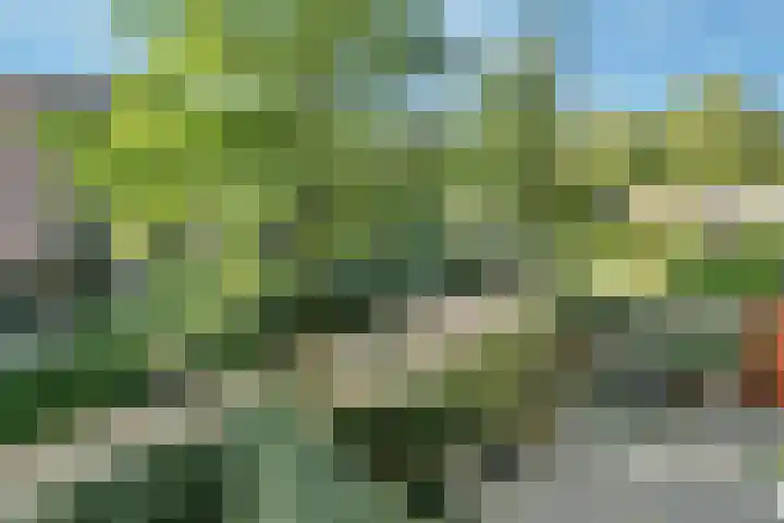 Buxusplaats 95 Tilburg thumbnail 16