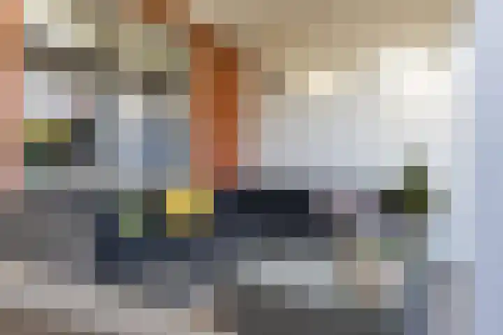 Buziaulaan 54 Beverwijk thumbnail 23