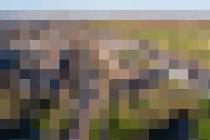 Buziaulaan 54 Beverwijk thumbnail 54