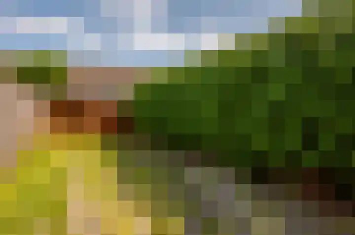 Buziaupad 6 Almere thumbnail 23