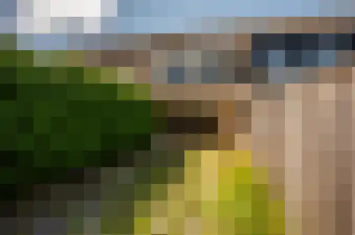 Buziaupad 6 Almere thumbnail 25