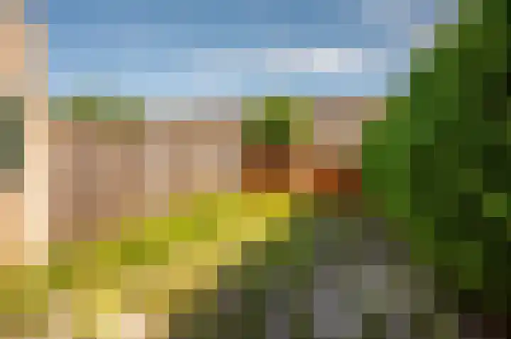 Buziaupad 6 Almere thumbnail 26