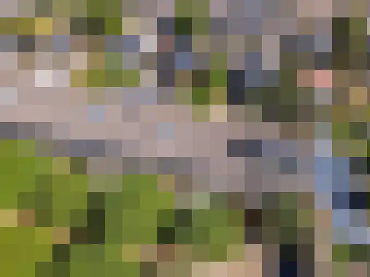 Buziaupad 6 Almere thumbnail 29