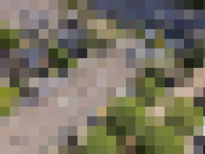 Buziaupad 6 Almere thumbnail 30
