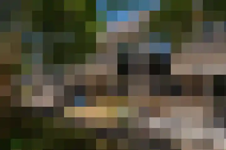 Buziaupad 6 Almere thumbnail 33