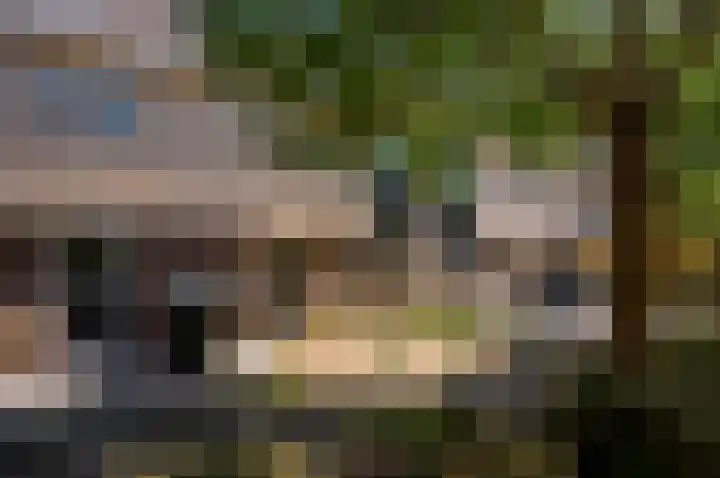 Buziaupad 6 Almere thumbnail 35