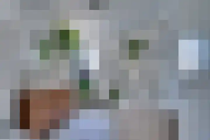 Byronstraat 20 Venlo thumbnail 24