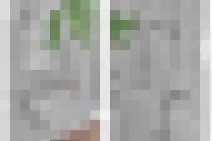 Byronstraat 20 Venlo thumbnail 26