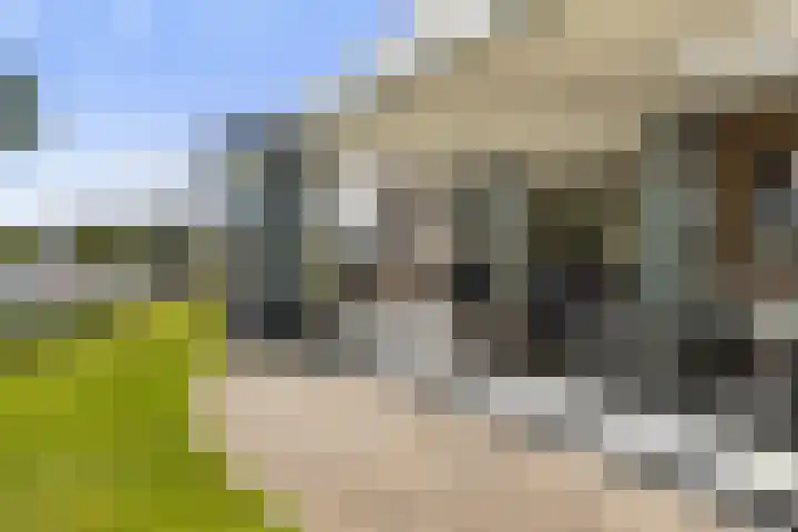 Bytling 25 Terherne thumbnail 10